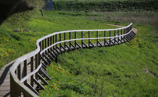 38_Jurakalnio geologinis pažintinis takas.jpg